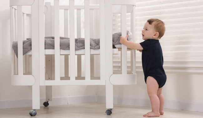 767c1f7330dc3aed4be435c10bbb7563